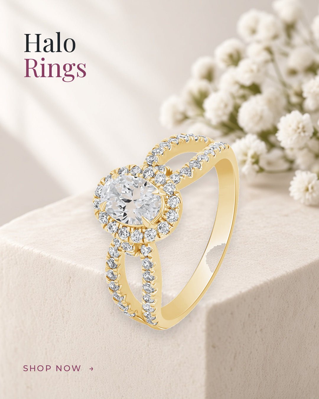 Halo Rings - Dewberry Diamonds